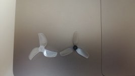 IMG_20251009_135751.jpg