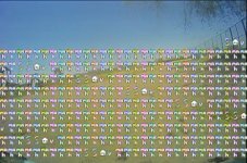 Screenshot_20260515_123829_Gallery.jpg