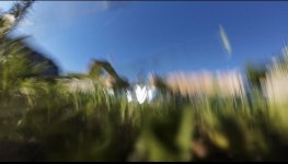 IMG_4429.jpeg