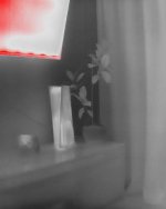IMG_20260912_113148.jpg