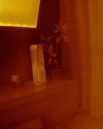 IMG_20260912_113053.jpg