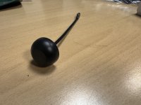 IMG_7281.jpeg