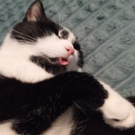 sergus