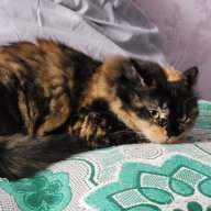 Костянтин