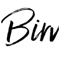 BirviZ