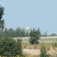 Паха