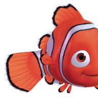nemo2319