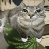 Aplew