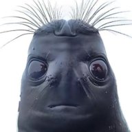 Рака
