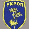 Sapper