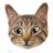Вячеслав