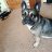 Egor12754
