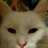 aloneOLEG